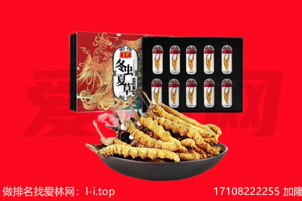 武威回收虫草.jpg